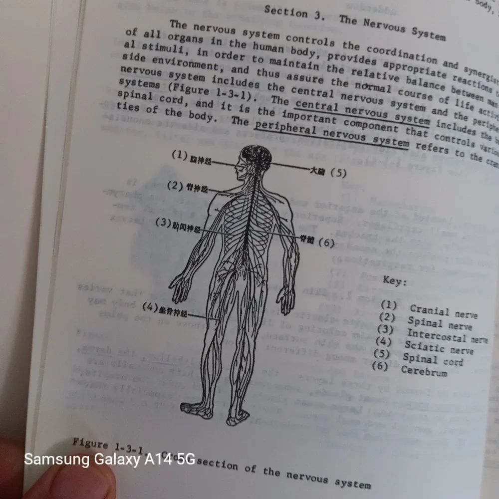 A Barefoot Doctor's Manual 1977 Running Press Chinese Paramedical PB 5th Print
